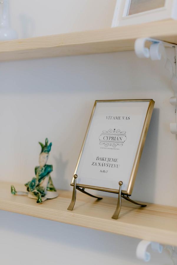 Cyprian Apartment Banska Stiavnica Ngoại thất bức ảnh